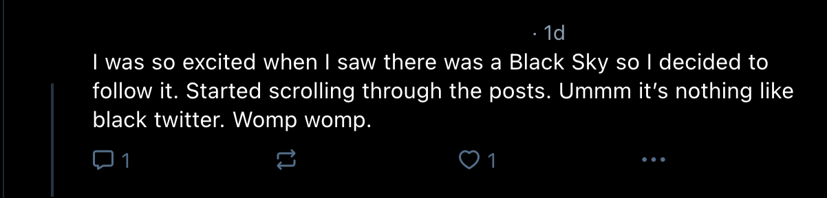 I was so excited when I saw there was a Black Sky [sic] so I decided to follow it. Started scrolling through the posts. Ummm it's nothing like black twitter. Womp womp.